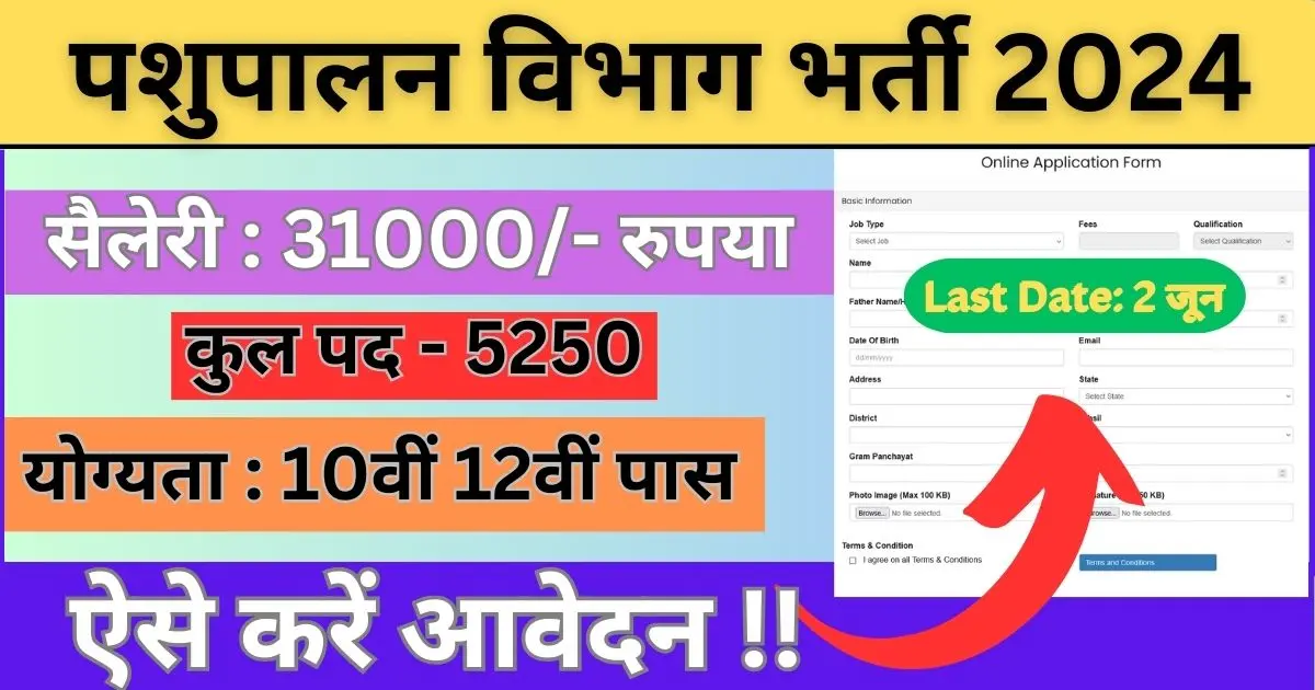 Pashupalan Vibhag Bharti 2024 Apply Online