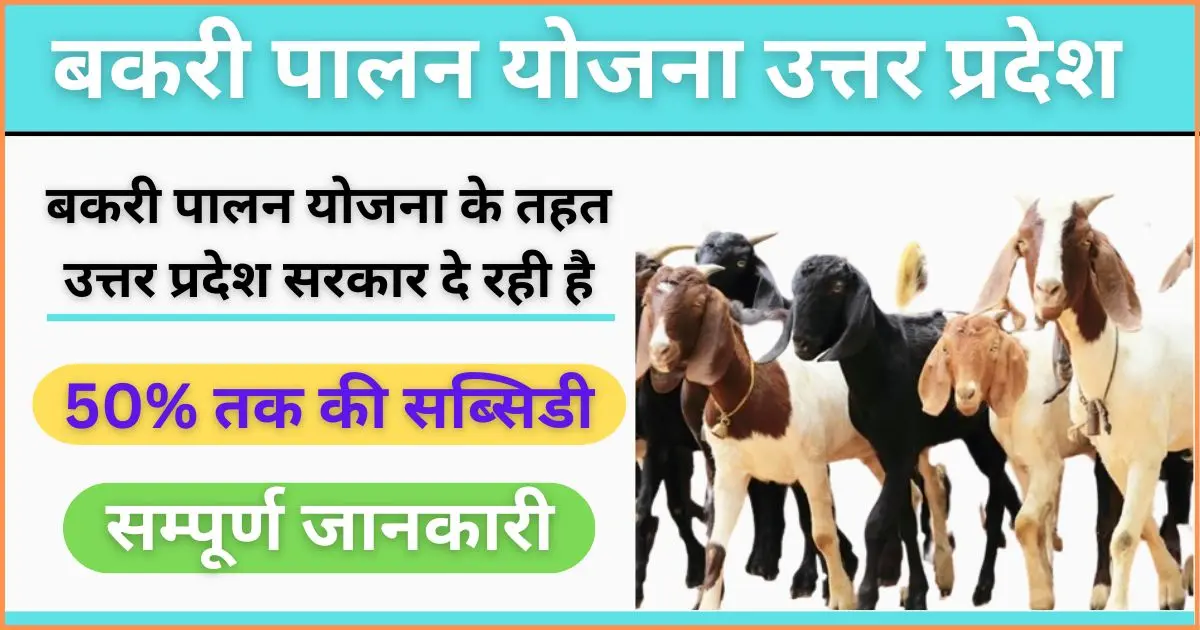 UP Bakri Palan Yojana 2024